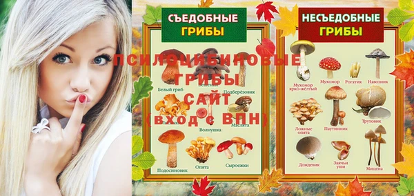 Альфа ПВП Верея