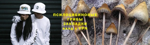 Альфа ПВП Верея